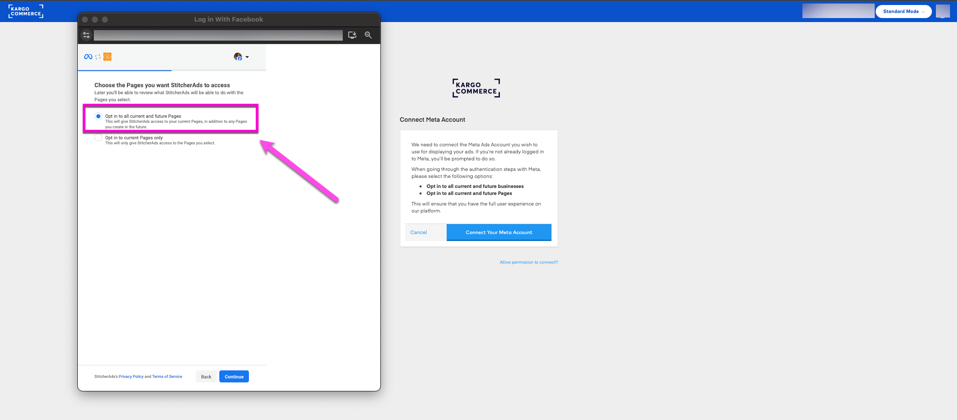 Access Token Clear and Rest - Opt In Steps - Add On 2.png